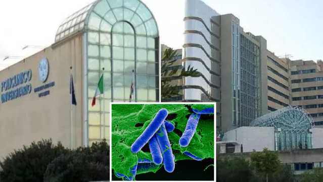 Monserrato, sei casi gravi di intossicazione da botulino alla Fiesta Latina: un undicenne trasferito d’urgenza al Gemelli