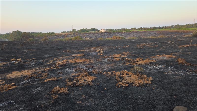 Alghero brucia: vasto incendio tra le borgate. Fiamme dolose e schieramento massiccio per salvare il territorio