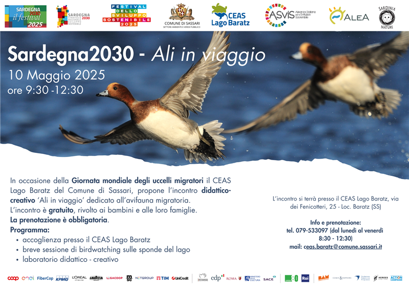 Al Ceas “Ali in viaggio”, laboratorio per bambini  sugli uccelli migratori