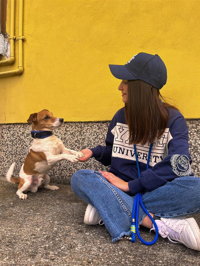 Educazione canina e responsabilità: Intervista con Chiara Ariu sull