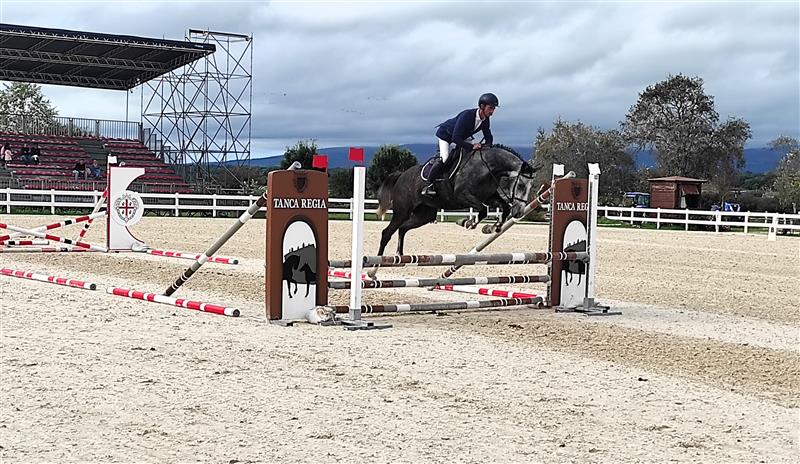 Allevamento e sport equestri: a Tanca Regia la rassegna Asvi per 180 puledri di due e tre anni nati e allevati in Sardegna