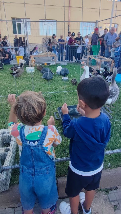 Alguer Family Festival: il programma del fine settimana tra Alghero e Santa Maria la Palma