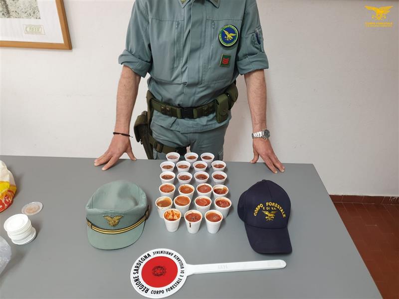 Il Corpo Forestale Sequestra Pi Di Un Kg Di Ricci Di Mare Nel Sulcis 
