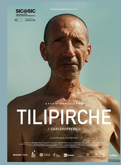 C’è anche “Tilipirche” del cagliaritano Francesco Piras nella cinquina finalista dei Nastri d’Argento 2024