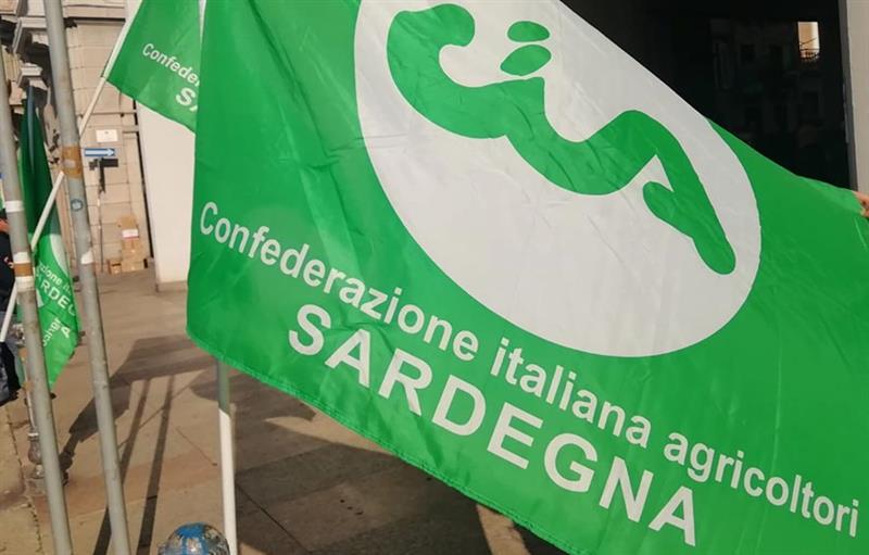Cagliari: dermatite bovina, Cia Sardegna chiede aiuto al Governo