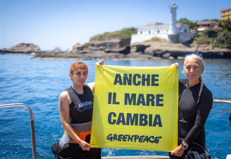 Mediterraneo sempre più caldo: Greenpeace lancia l’allarme, temperature record nel 2024