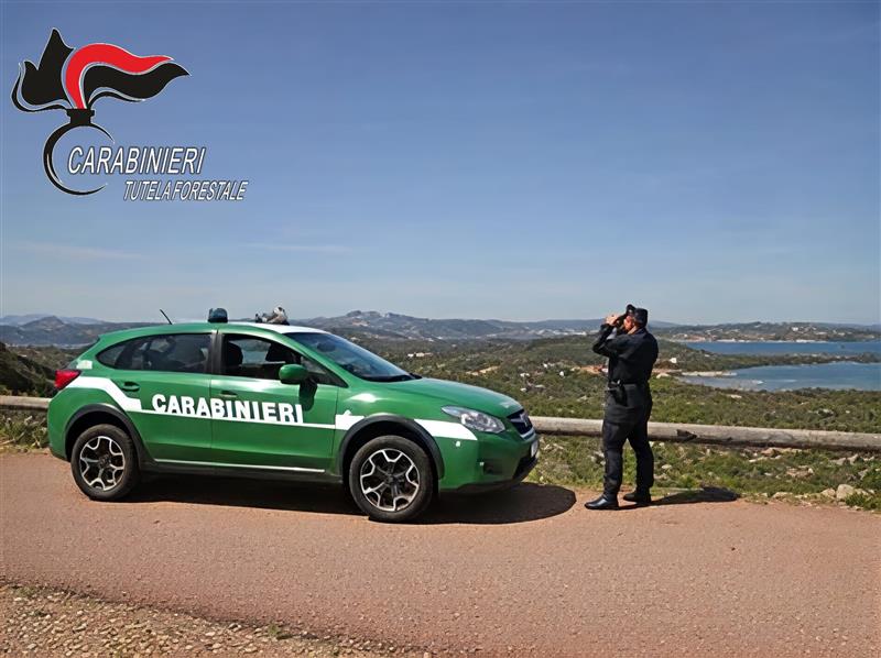 Caprera: due denunciati a Cala Coticcio, cercavano di proteggere un terzo compagno