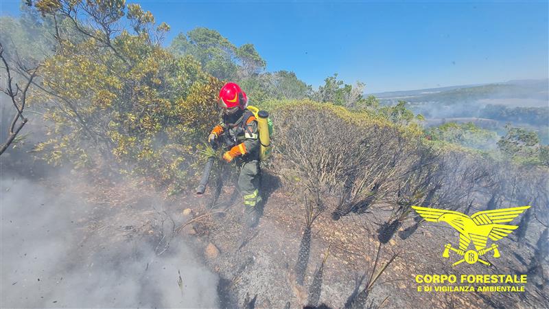 Incendi in Sardegna, elicotteri in volo e terreni devastati: brucia anche vicino alle case