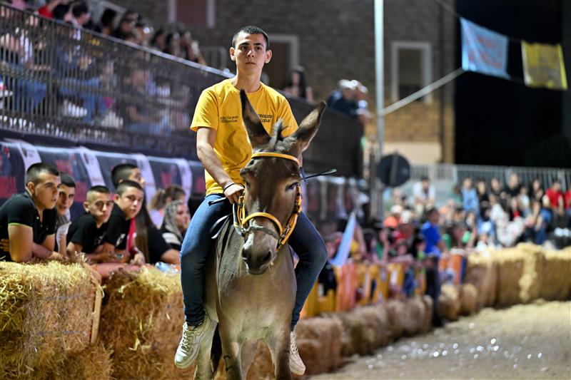 Ollolai, il Palio degli Asinelli accende l’estate della Barbagia