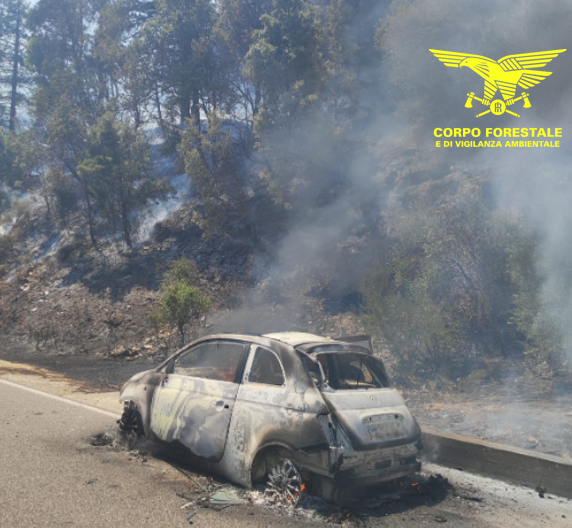 Incendi del 2 agosto: fiamme a Belvì e Nuoro, intervento rapido della macchina antincendio