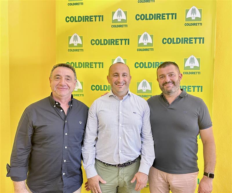 Cinghiali, devastati 500 ettari nel Sulcis. Coldiretti striglia la Provincia: «Mettete in campo i coadiutori»