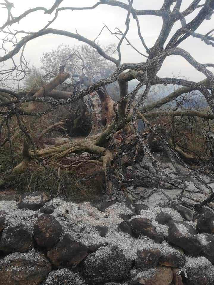 GrIG: Ancora centrali eoliche sul Montiferru!