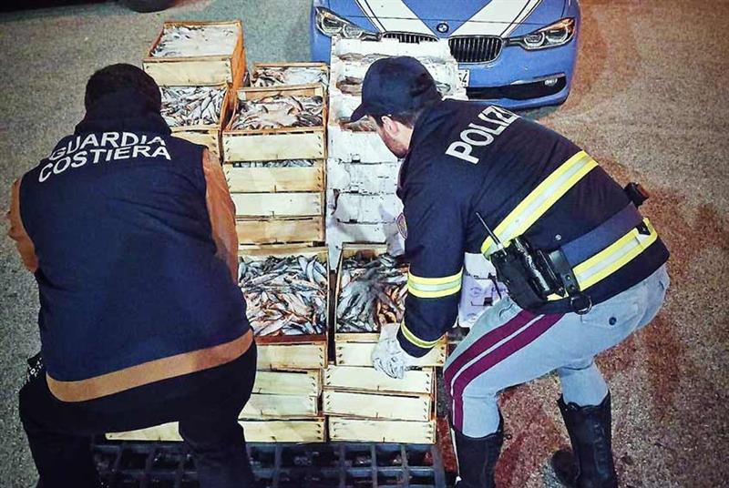 Olbia: sequestrato al porto carico di pesce non idoneo destinato ai ristoranti di Porto Cervo