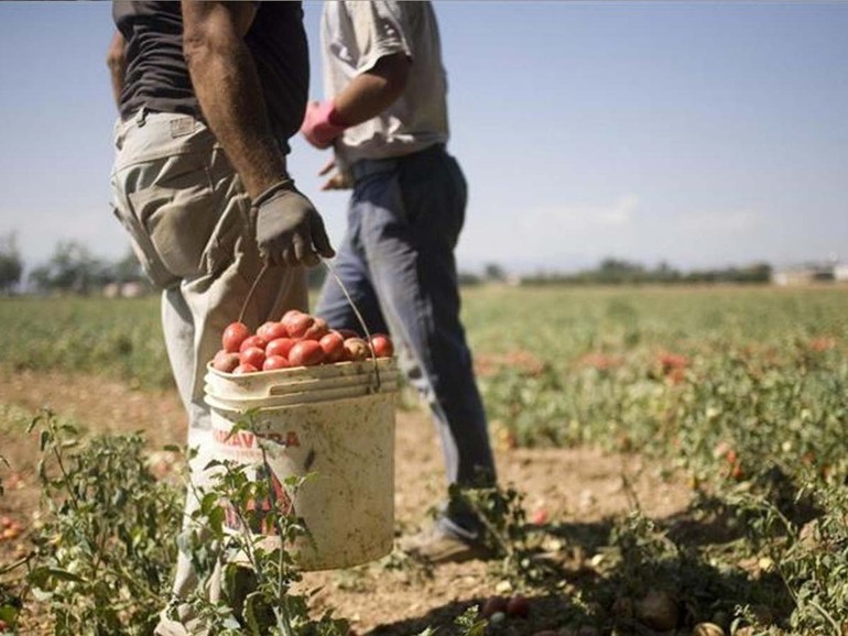 Le pensioni da fame degli agricoltori sardi: Una vergogna nazionale