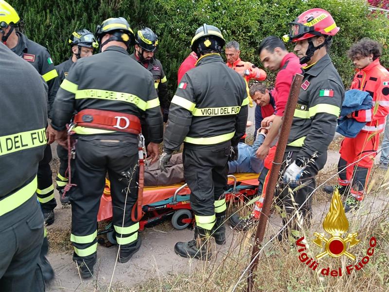 Sorso: travolto da un ramo a dieci metri d