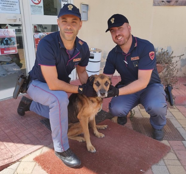 Polizia salva cane denutrito e maltrattato, denunciato il proprietario