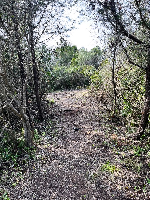 Cala Finanza: il cemento "semplificato", il taglio della macchia e il braccio di ferro sulla costa di Loiri