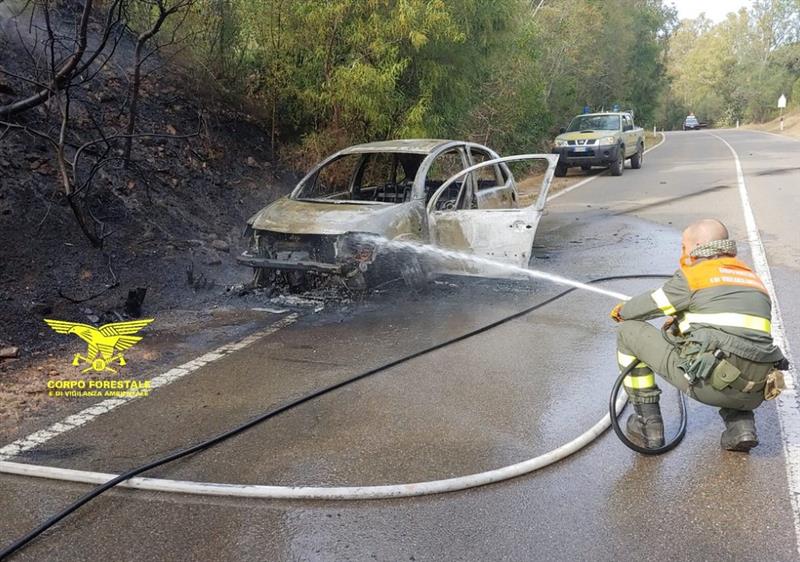 Spento un incendio che minacciava la Pineta di Santa Margherita