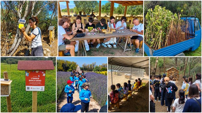 Le telecamere della Rai entrano nel santuario degli impollinatori: il modello Alghero fa scuola in tv