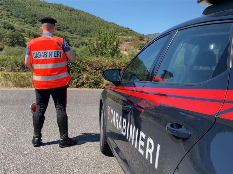 Desulo: 30 kg di marijuana nascosti in garage, arrestato un 30enne