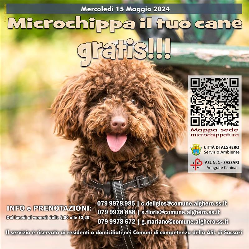 Alghero: Microchippatura gratuita dei cani il 15 maggio 2024