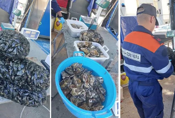 Cagliari, ambulante abusivo multato: vendeva cozze e ostriche senza tracciabilità