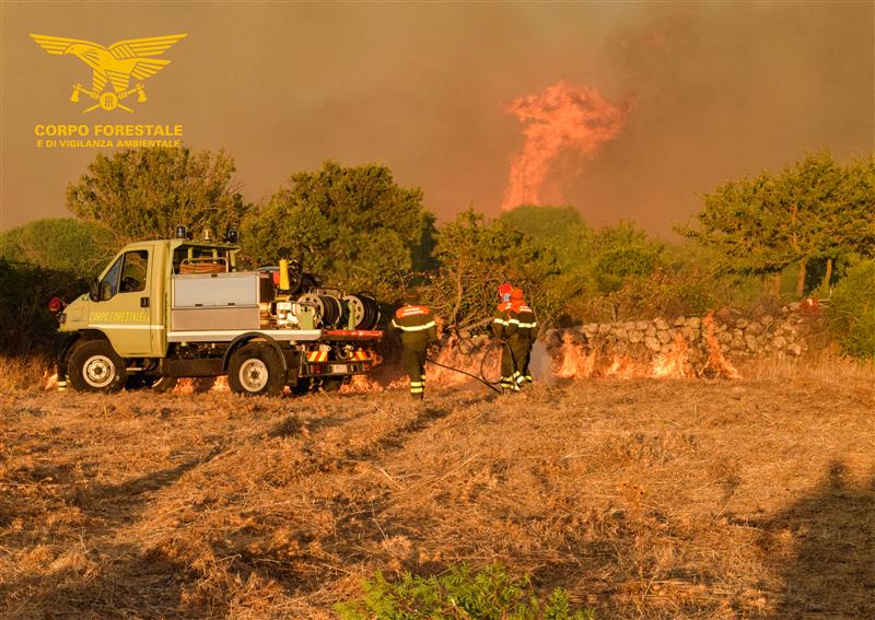Sardegna, sette giugno di fuoco: sedici roghi in un solo giorno, nessuno richiede l’intervento aereo