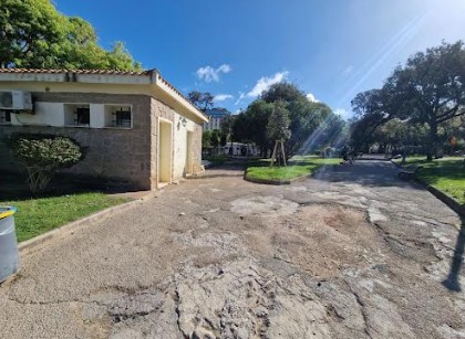 Alghero, il Parco Manno si rifà il trucco. Tre mesi di cantiere per togliere le barriere e piantare alberi nostri