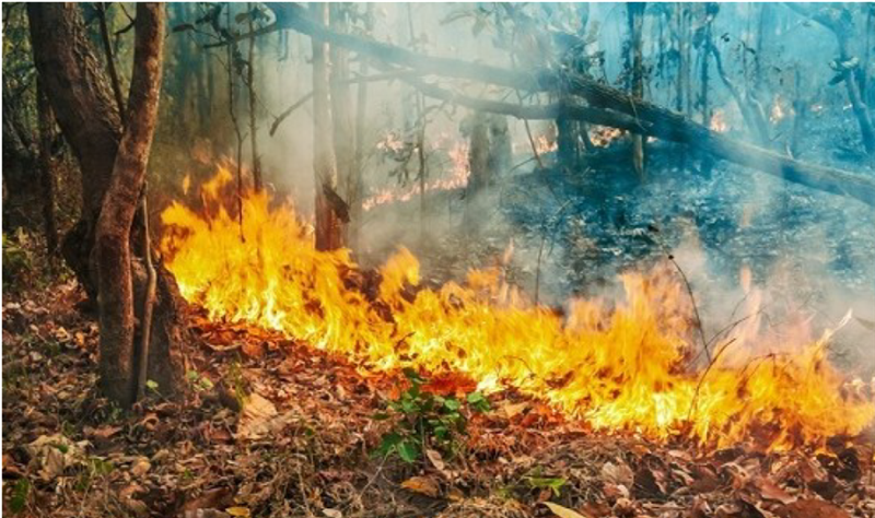 Incendi in Sardegna, domenica 8 giugno: dodici roghi, mezzi aerei in azione a Decimomannu e Donori