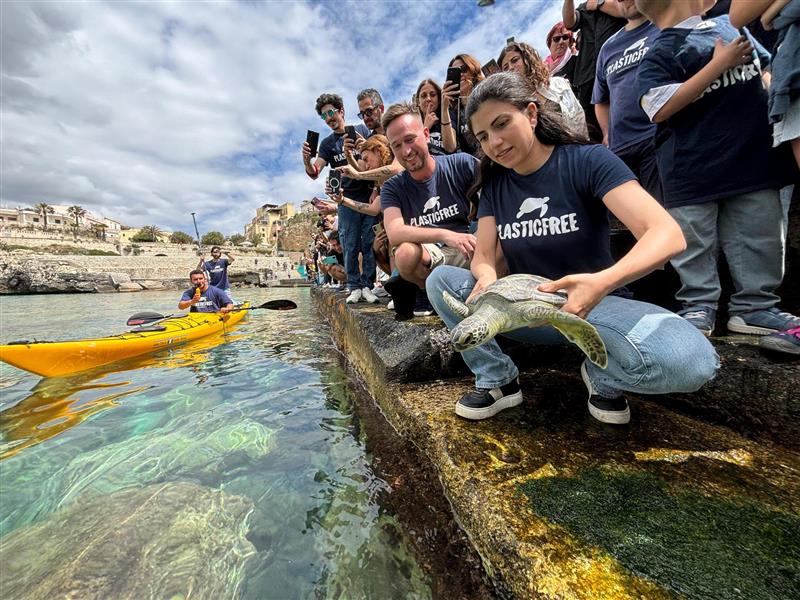 L'associazione Plastic Free restituisce il mare a otto tartarughe ferite: scatta il rilascio simultaneo in sei città
