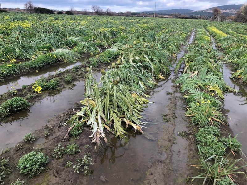 Sardegna affogata dal fango e dalla burocrazia: a rischio i fondi europei. L