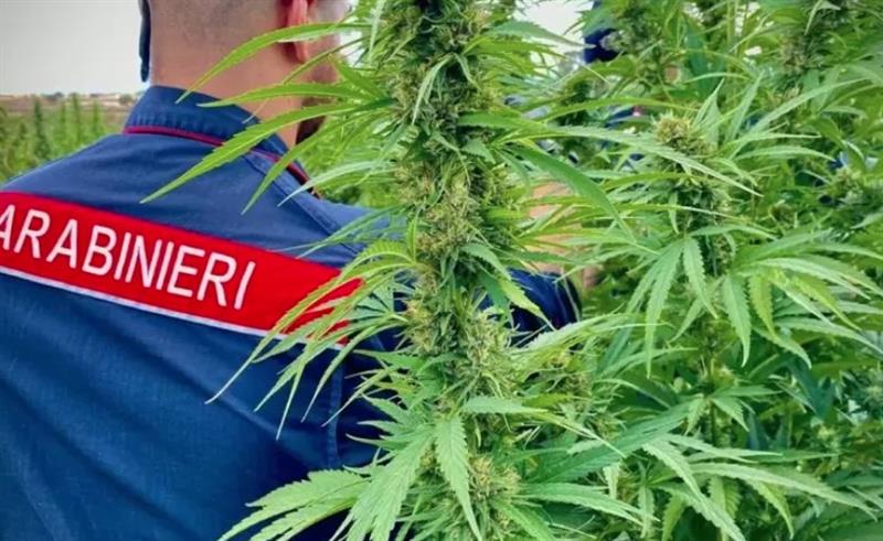 Sardegna-Lombardia, asse della droga smantellato: due arresti a Porto Cervo e Illorai