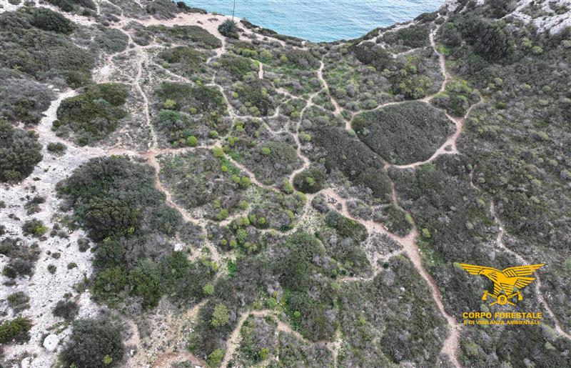 Sella del Diavolo e Colle di Sant’Elia: consultazione pubblica per la tutela delle aree naturali