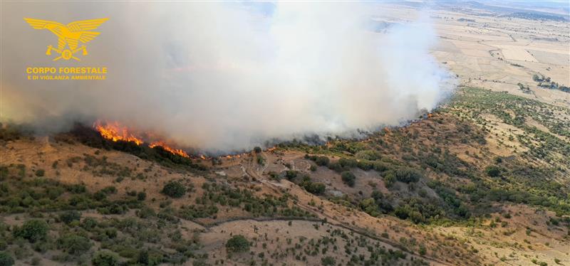 Incendi a Bonorva, arrestato un uomo per roghi dolosi