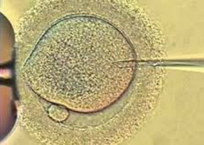 Bebè a rischio cancro in Europa: l’allarme che arriva dalla Danimarca