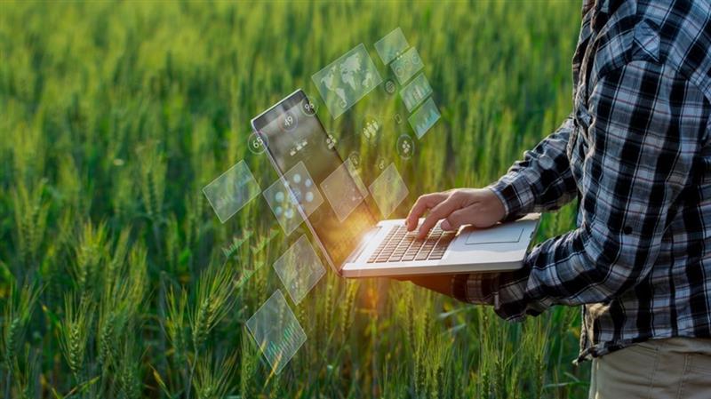 La Sardegna blinda i suoi "tesori viventi": al via la Commissione Agrobiodiversità. Agus: «Non è teoria, è il nostro futuro»