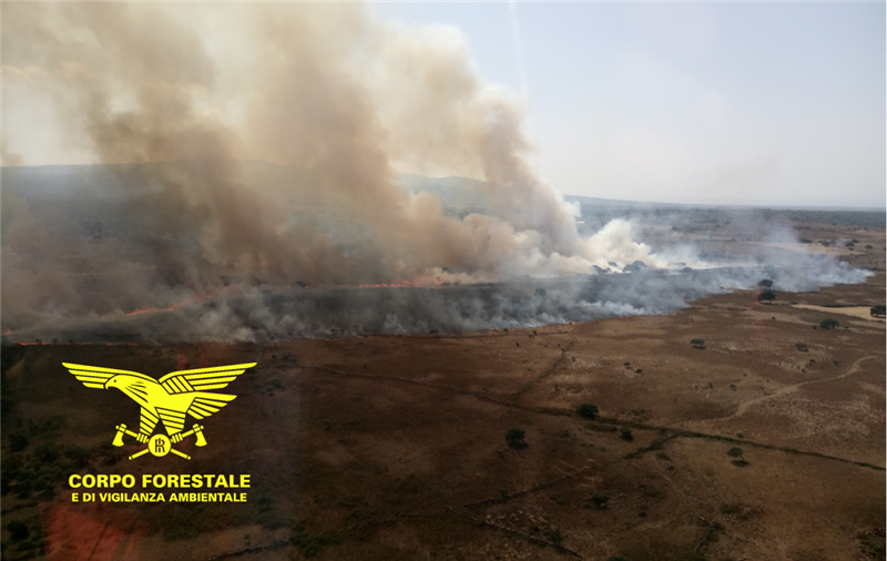 Sardegna: sei incendi nella giornata di ieri, intervento aereo a Ussana