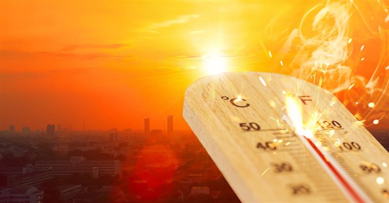 Sardegna: nuova ondata di caldo intenso nel weekend del 13-15 giugno 2025