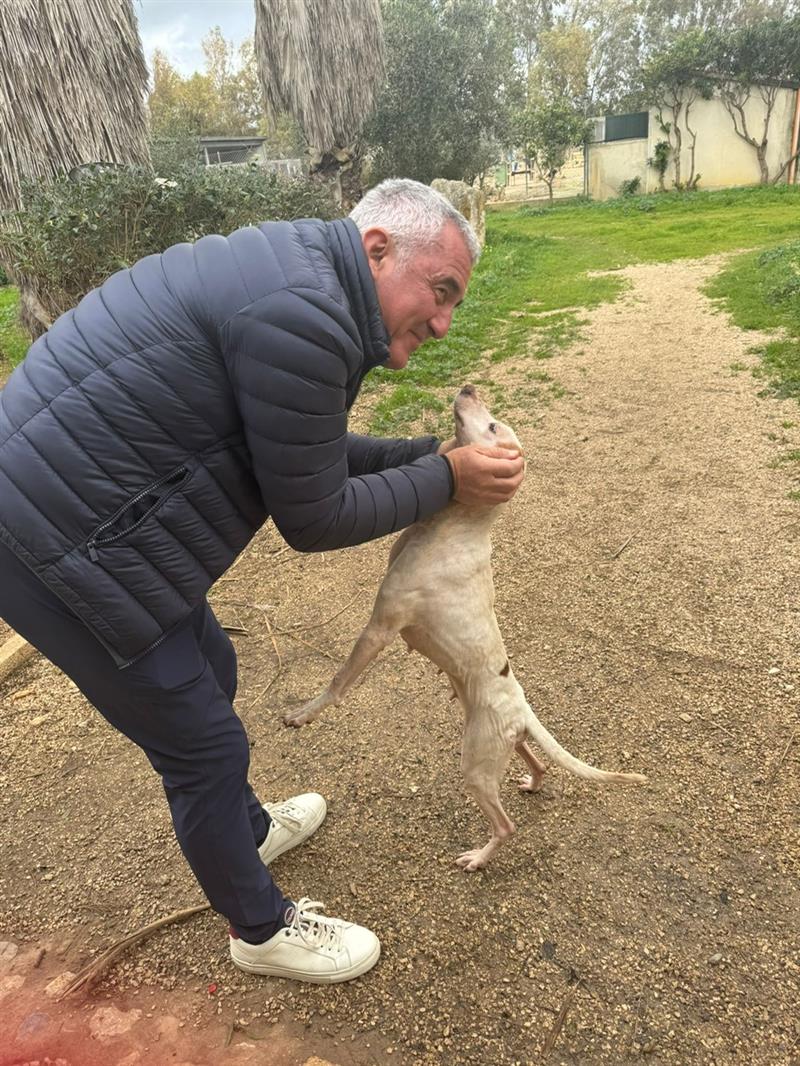 Alghero, Conoci: “Il sindaco guidi la decisione e concluda l’acquisto del canile”