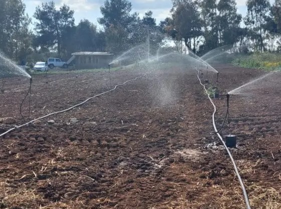 Siccità in Nurra, il Centro Studi Agricoli chiede indennizzi rapidi e senza burocrazia