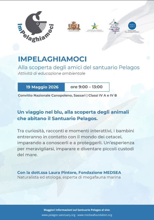 A Sassari i cetacei salgono in cattedra: lezioni di mare per scolari e un manuale ai cronisti contro le bufale ambientali