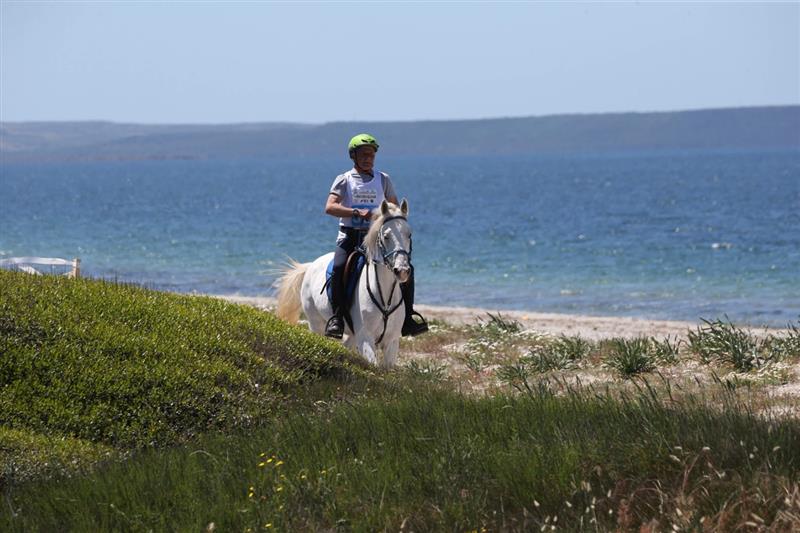 Dal 14 fino al 19 settembre l’Horse Country Resort di Arborea ospita il "Sardegna Endurance Festival 2021"
