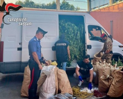 Arzachena, maxi piantagione di marijuana: due arresti, sequestrati droga ed esplosivi