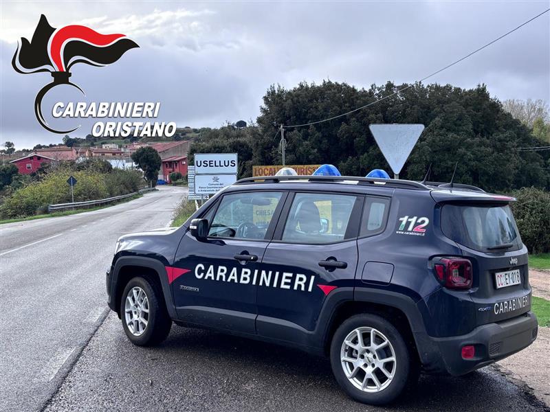 Usellus, furto in azienda agricola: un 36enne denunciato dai Carabinieri