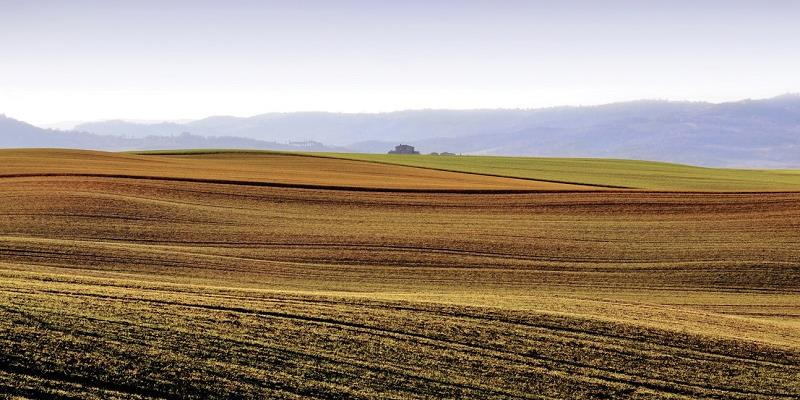 Proroga di un mese per i contributi Inps dell'agricoltura