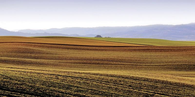 Proroga di un mese per i contributi Inps dell'agricoltura