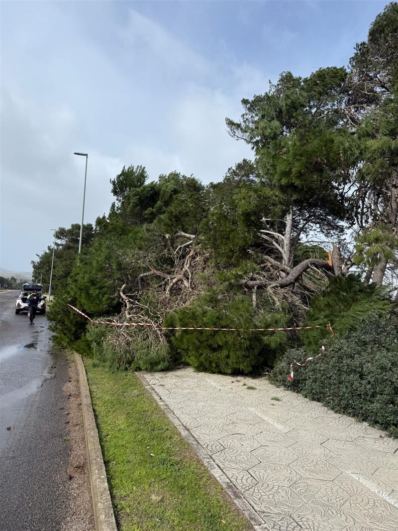 Alghero piegata dal vento a 100 all
