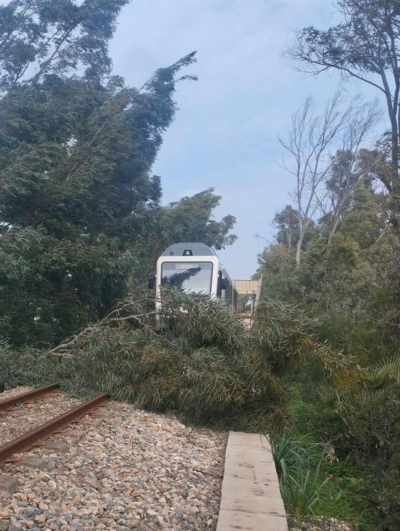 Alghero-Sassari, il vento abbatte un ramo sui binari. Di Nolfo: «Salvi grazie ai macchinisti e alla bassa velocità»