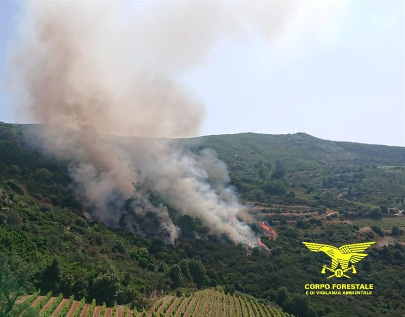 Sardegna, giornata di fuoco: 25 incendi, elicotteri in volo su quattro fronti