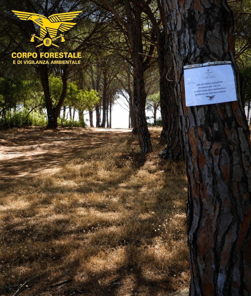Ottocento auto al posto di 180: la Procura sequestra la pineta di Su Barone a Orosei per rischio incendi